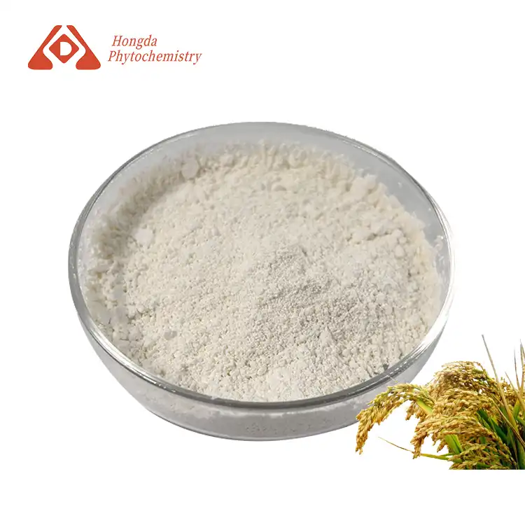 Rice Bran Extract Powder